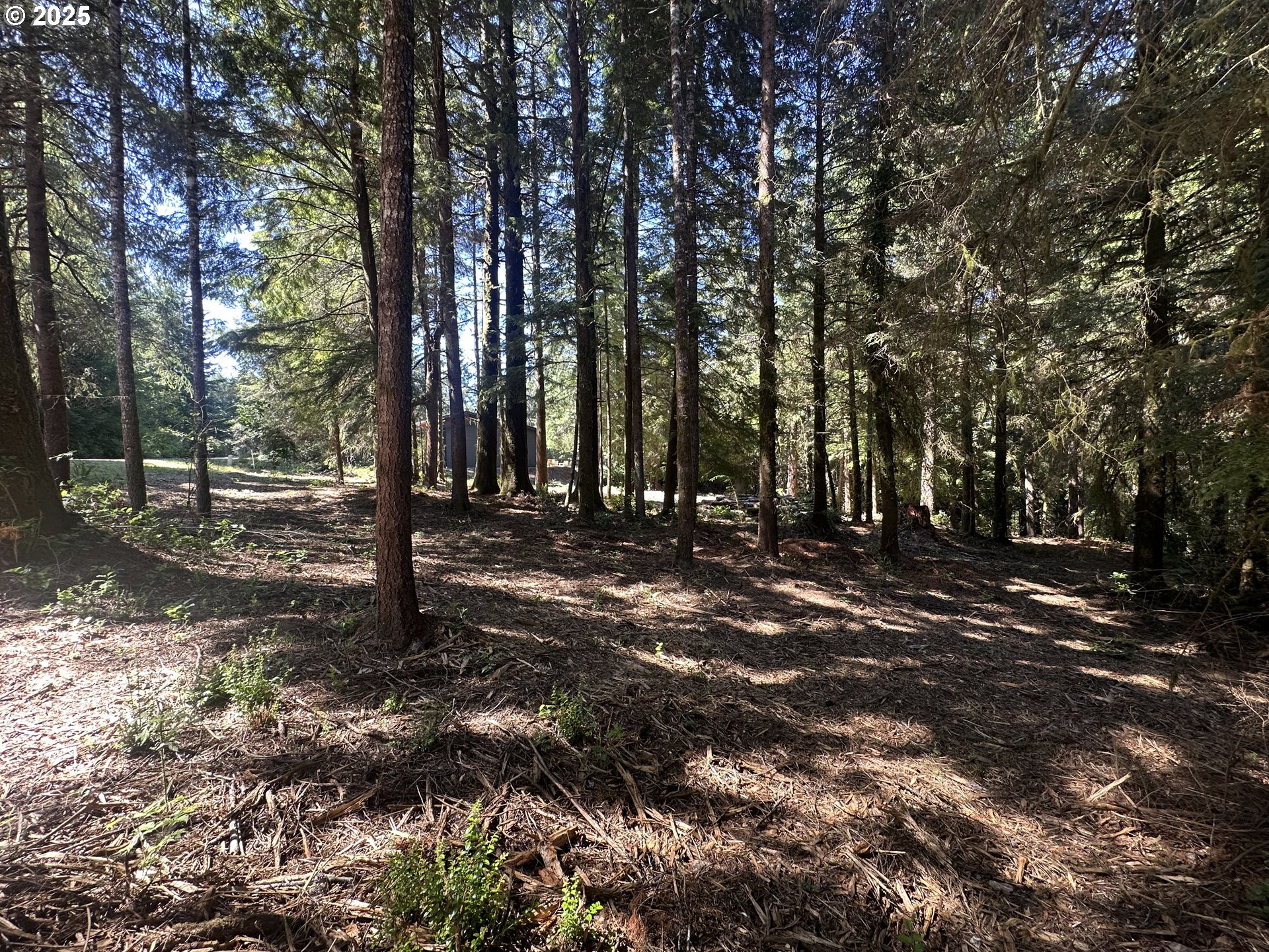 Summerbell Drive Florence, OR 97439 - Photo 13 of 18 a view of park