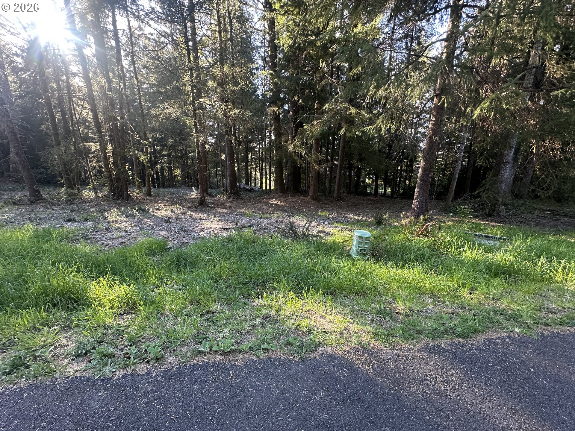 Summerbell Drive Florence, OR 97439 - Photo 14 of 18 a backyard of a house with lots of green space