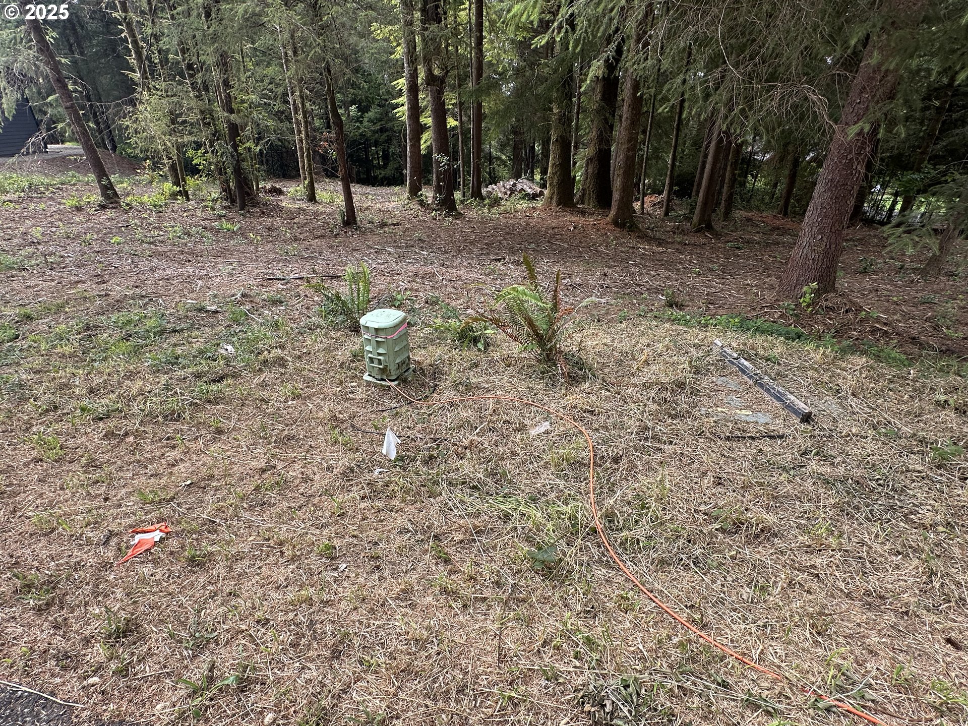 Summerbell Drive Florence, OR 97439 - Photo 3 of 18 a backyard of a house with lots of green space