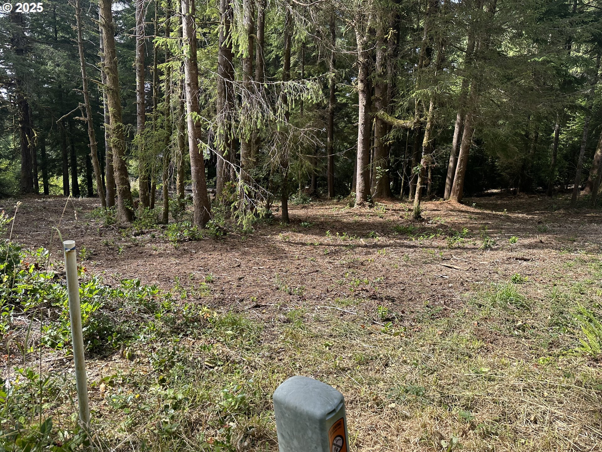 Summerbell Drive Florence, OR 97439 - Photo 4 of 18 a view of a backyard