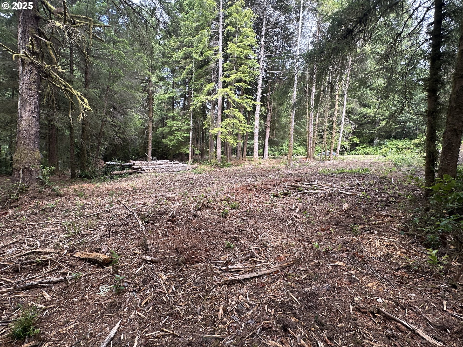 Summerbell Drive Florence, OR 97439 - Photo 6 of 18 a view of a yard with plants and trees