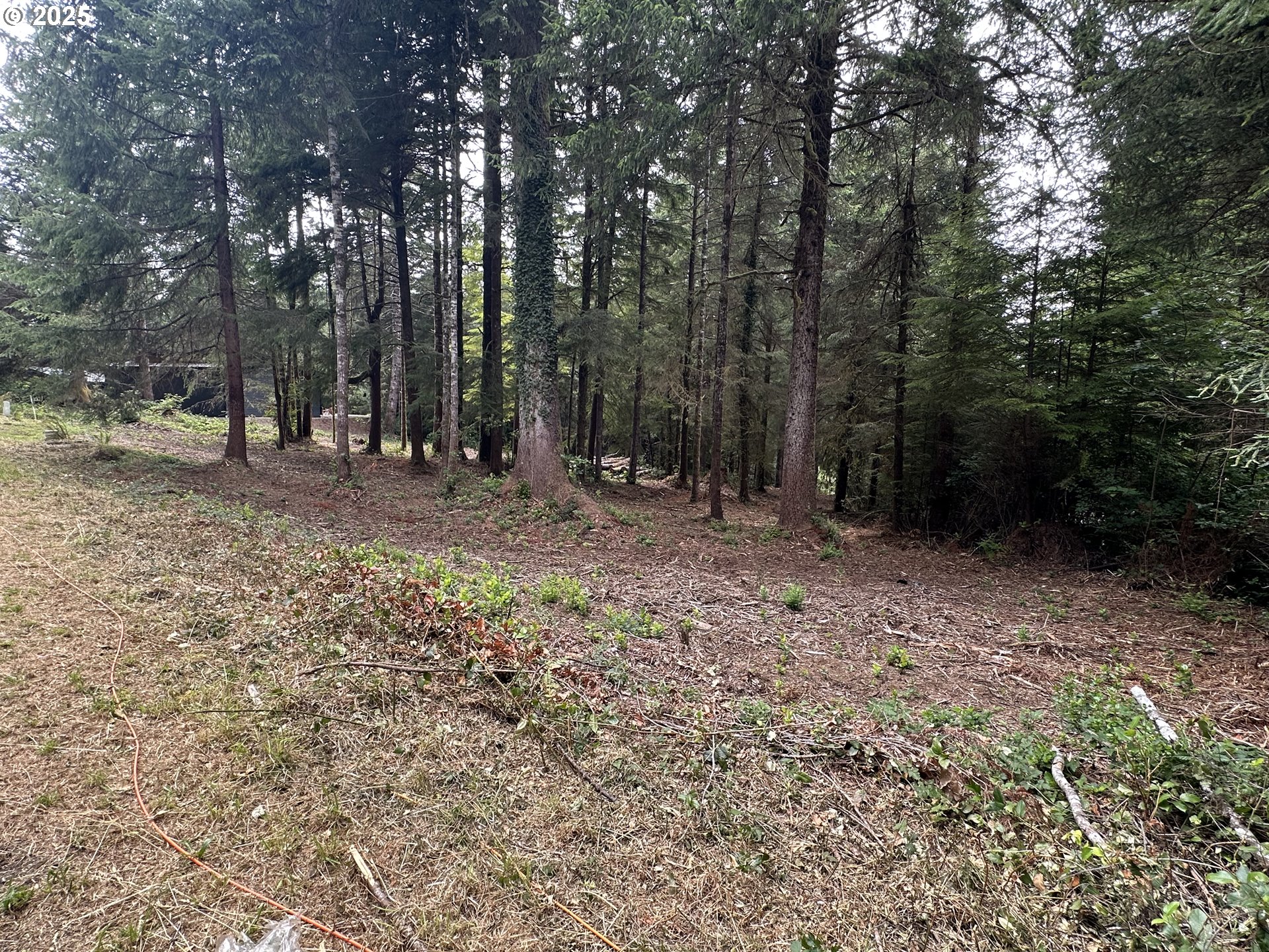 Summerbell Drive Florence, OR 97439 - Photo 10 of 18 a view of outdoor space with trees