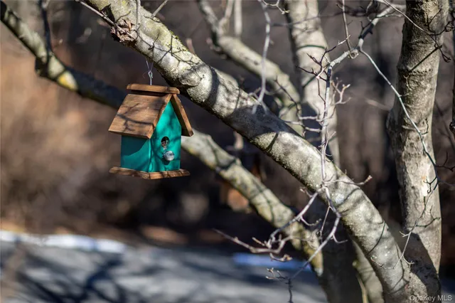 a bird view of house with outdoor space