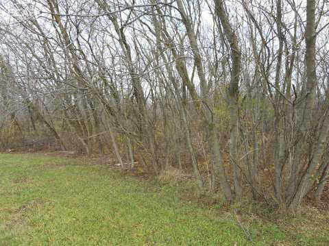 3306 Millington Road Millington, MI 48746 - Photo 36 of 38 20425019-35.JPG