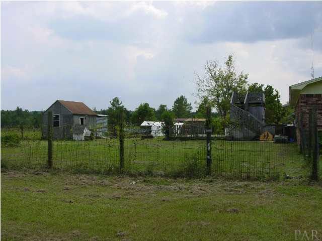 2136 Parker Road Cantonment, FL 32533 - Photo 3 of 5 View of the back yard