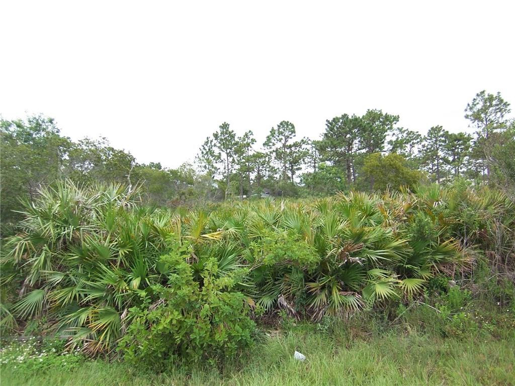 20520 Ralston Street Orlando, FL 32833 - Photo 3 of 6 Photo 5