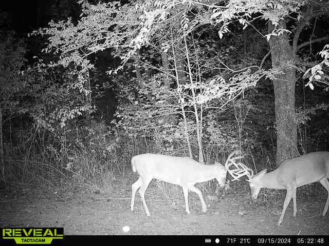 0 West Hollow Road Goodspring, TN 38460 - Photo 78 of 99