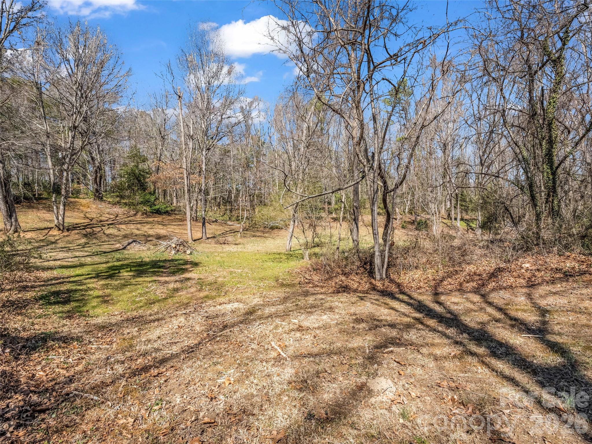 156 Warren Wilson Road Swannanoa, NC 28778 - Photo 12 of 38