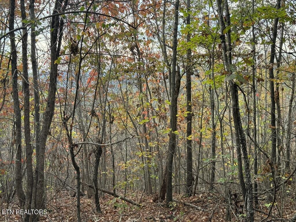 3 Point - Tract 3 Road, Unit 4 03 Vonore, TN 37885 - Photo 7 of 7 CA0116E2-B0AC-447F-B851-FC61F5CC2DE5_1_1