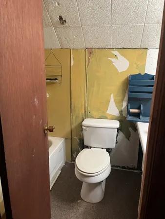 a white toilet sitting next to a shower curtain