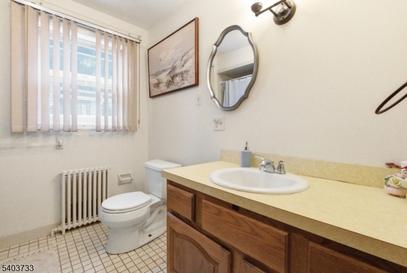 210 Highway 284 Wantage, NJ 07461 - Photo 10 of 28 a bathroom with a sink a toilet and a mirror
