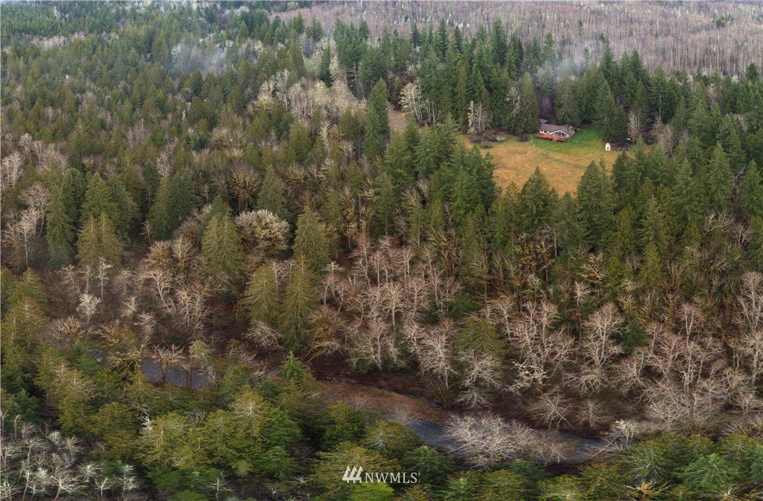 991 Lords Lake Loop Road Quilcene, WA 98376 - Photo 1 of 34 a view of a forest with a yard