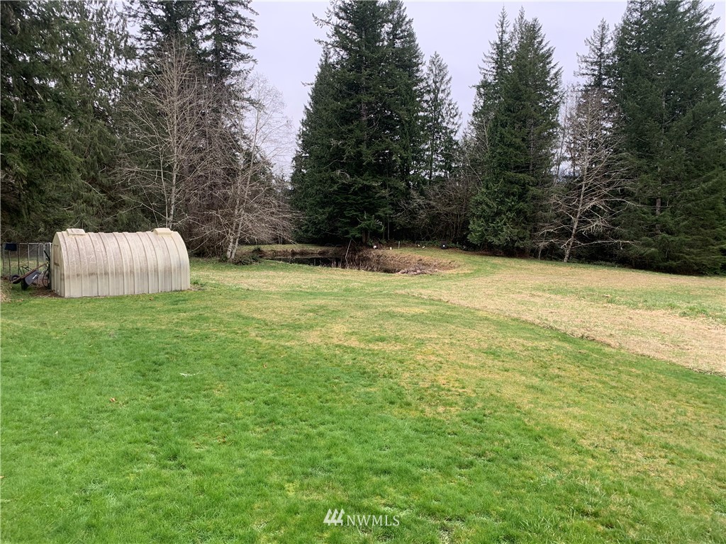 991 Lords Lake Loop Road Quilcene, WA 98376 - Photo 21 of 34 a view of a pool