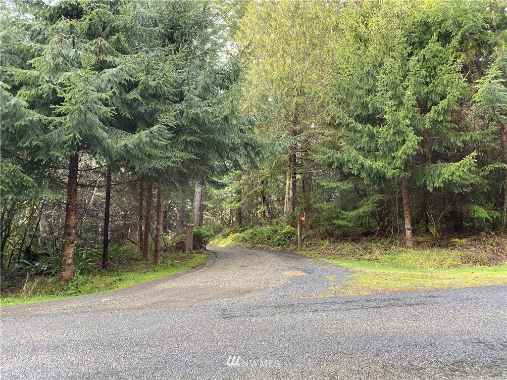 991 Lords Lake Loop Road Quilcene, WA 98376 - Photo 23 of 34 a view of a yard with a trees