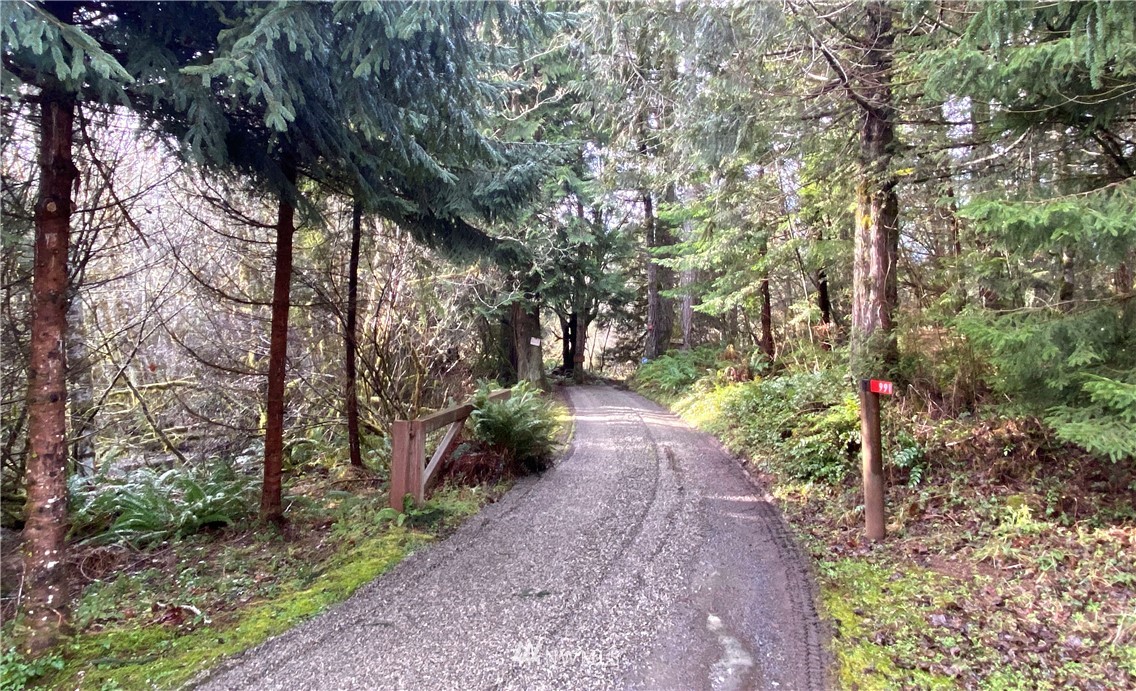991 Lords Lake Loop Road Quilcene, WA 98376 - Photo 24 of 34 a pathway of a yard