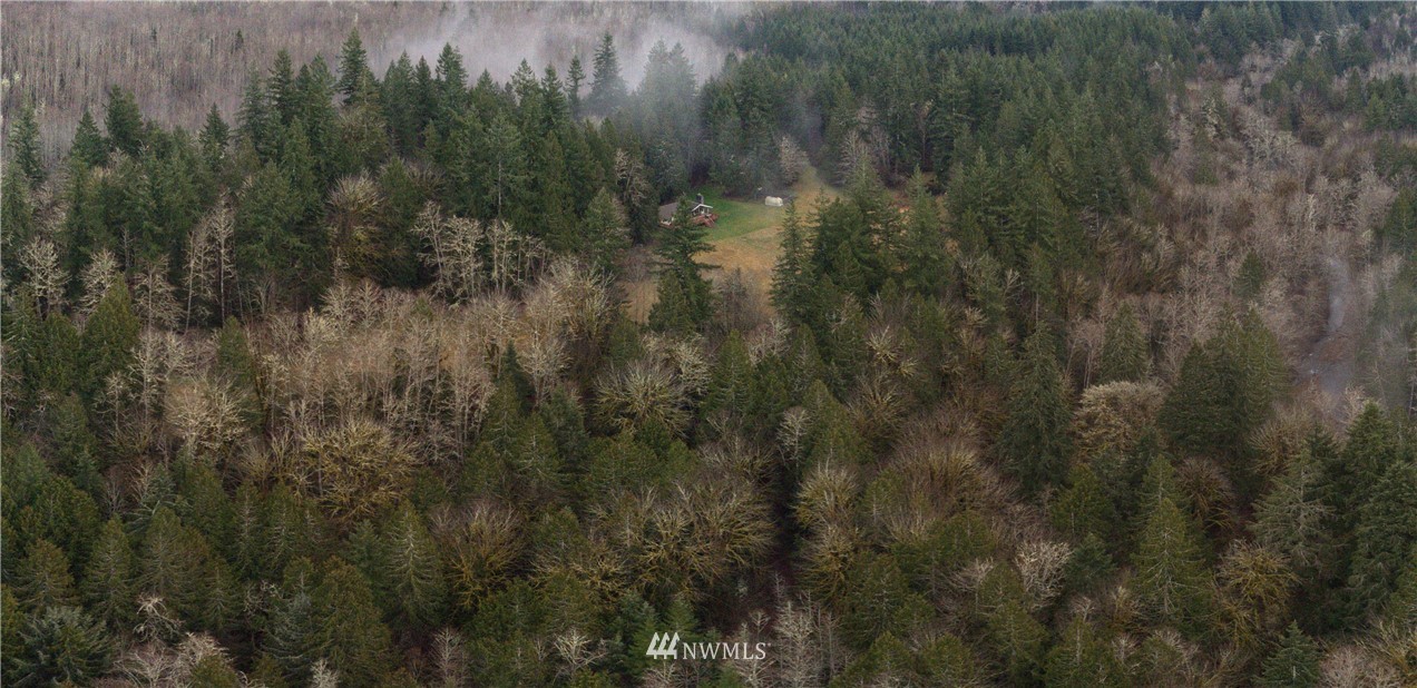 991 Lords Lake Loop Road Quilcene, WA 98376 - Photo 27 of 34 a view of a forest with a lush green forest