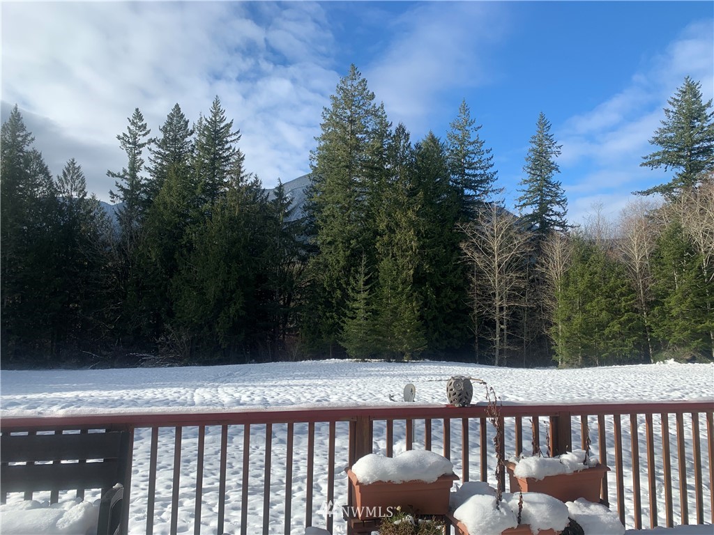 991 Lords Lake Loop Road Quilcene, WA 98376 - Photo 5 of 34 a view of deck with a yard