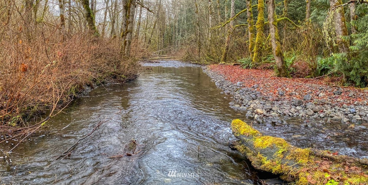 991 Lords Lake Loop Road Quilcene, WA 98376 - Photo 6 of 34 a view of yard