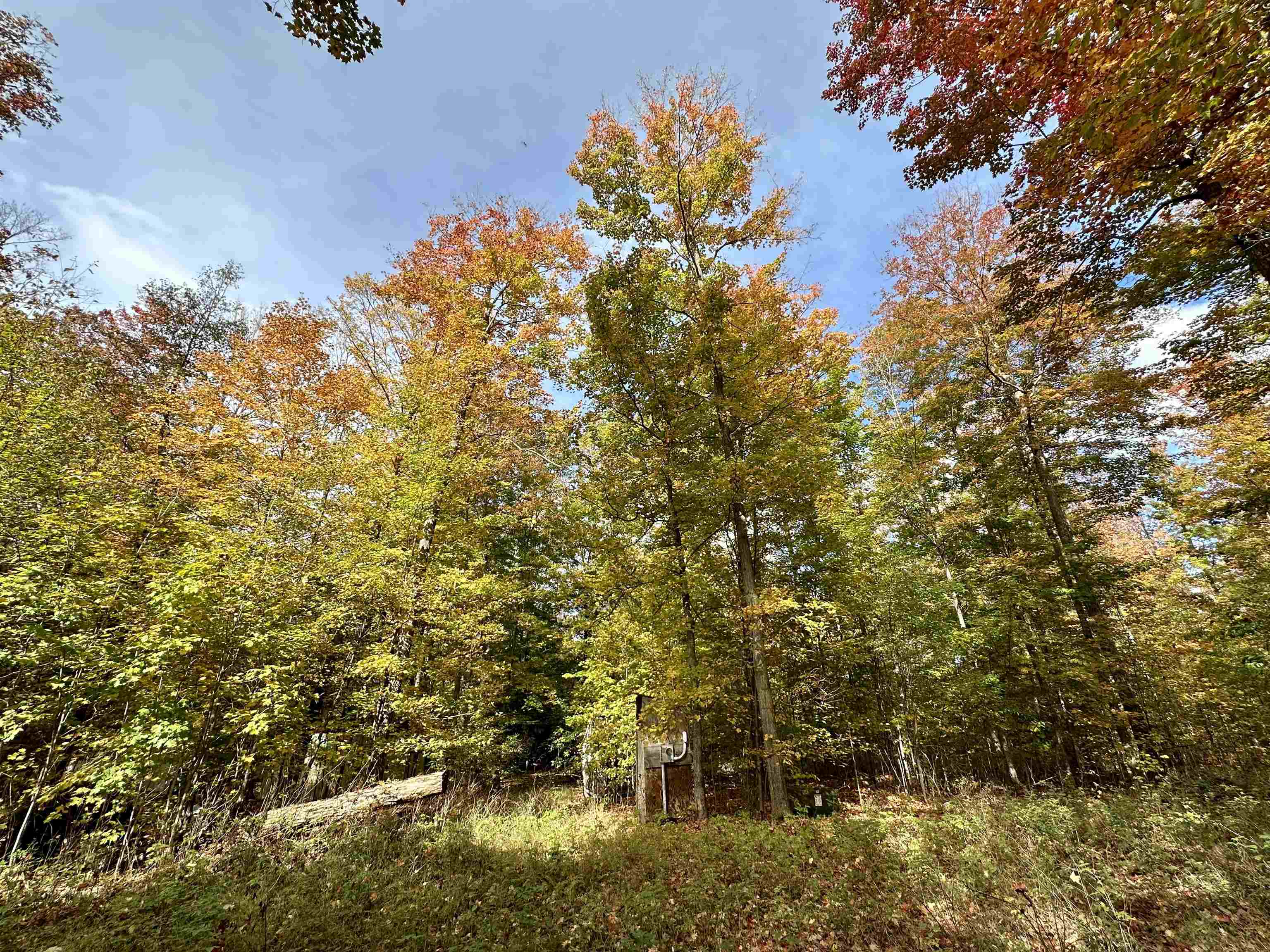 1306 South Weldon Road Beulah, MI 49617 - Photo 9 of 28