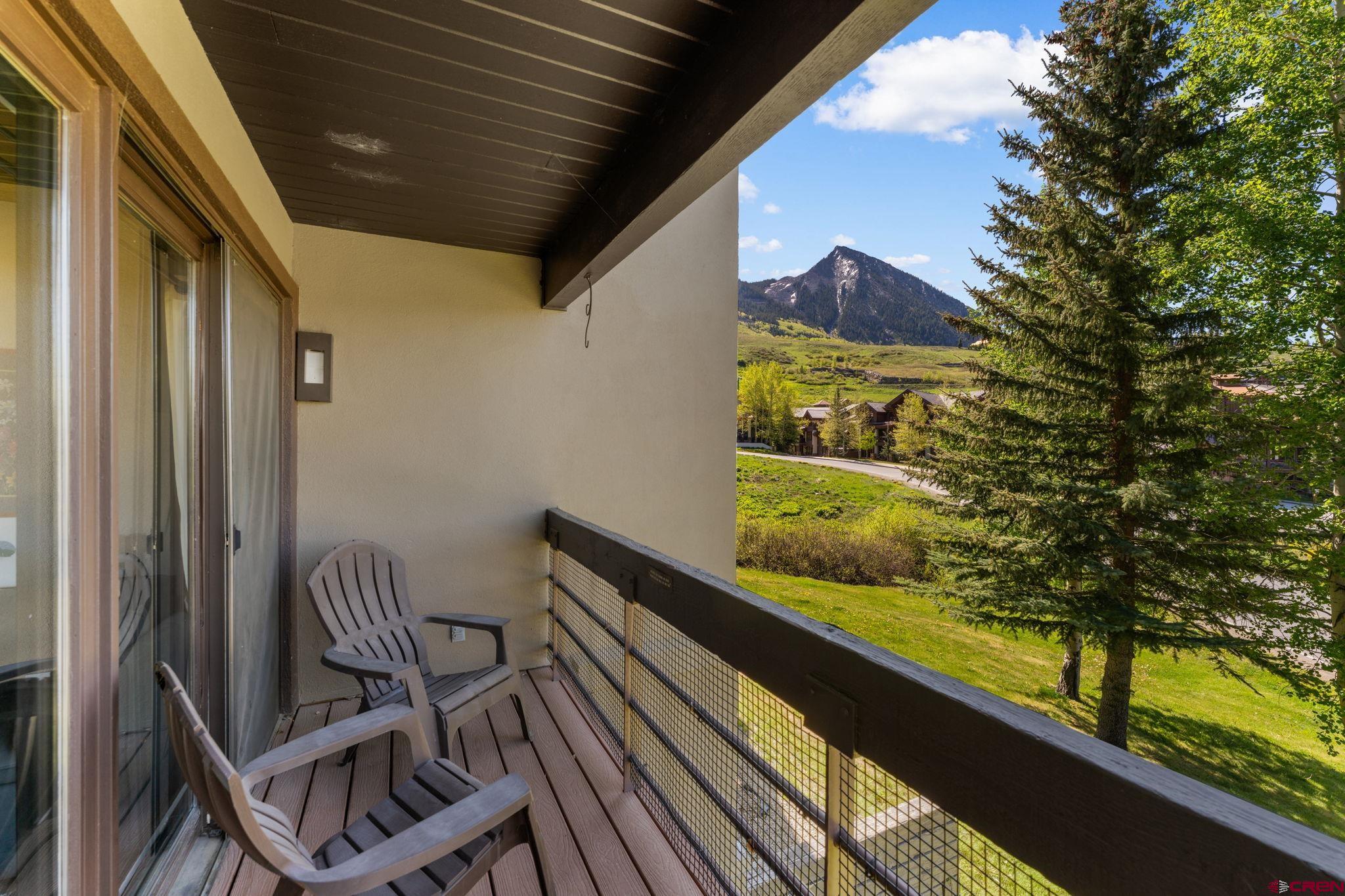 400 Gothic Road, Unit 202 Crested Butte, CO 81225 - Photo 16 of 24