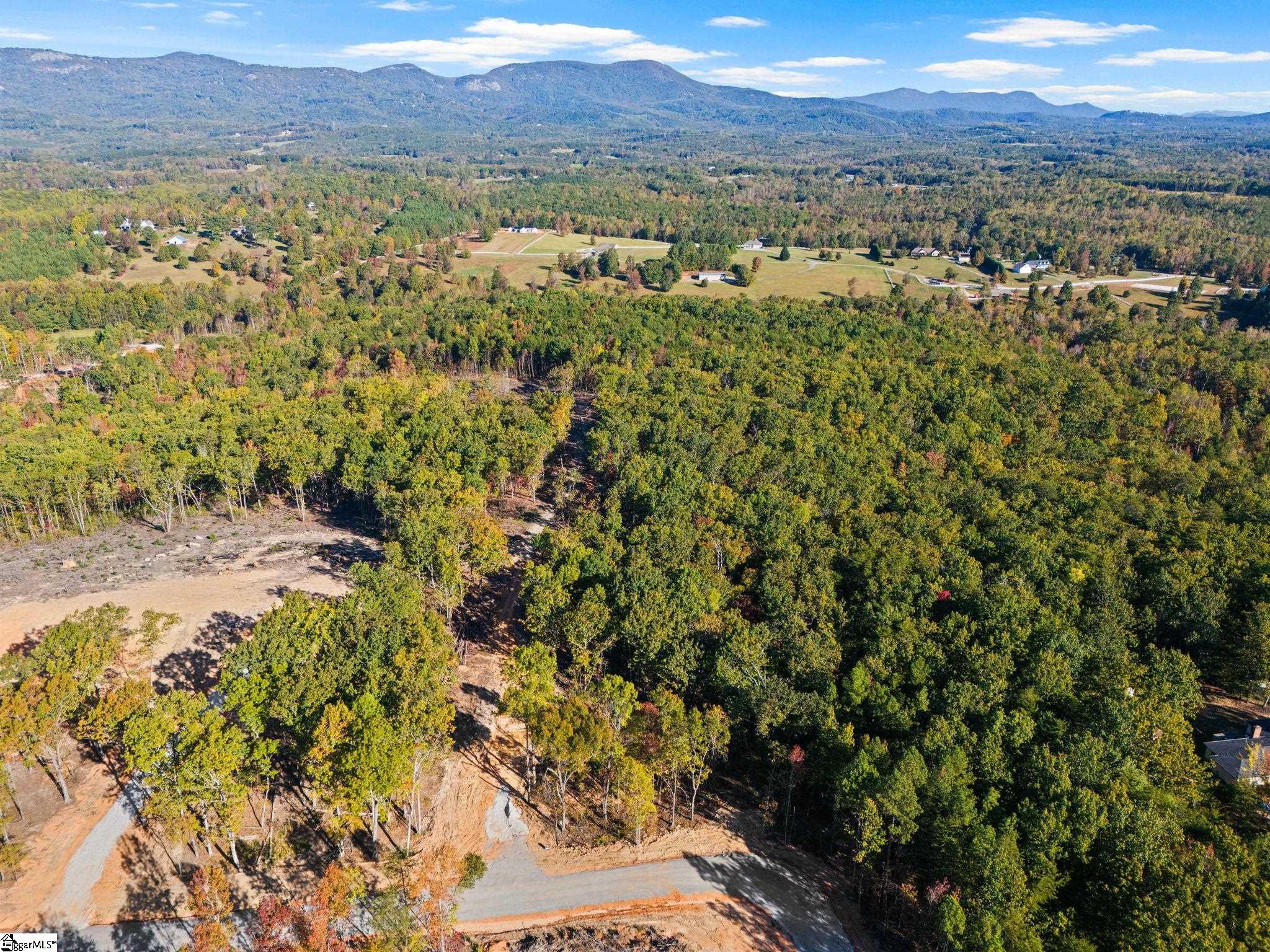 1944 Pleasant Hill Road Greer, SC 29651 - Photo 2 of 10
