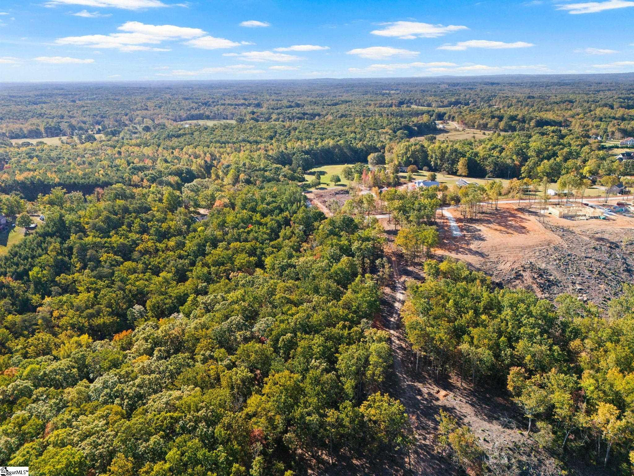 1944 Pleasant Hill Road Greer, SC 29651 - Photo 4 of 10