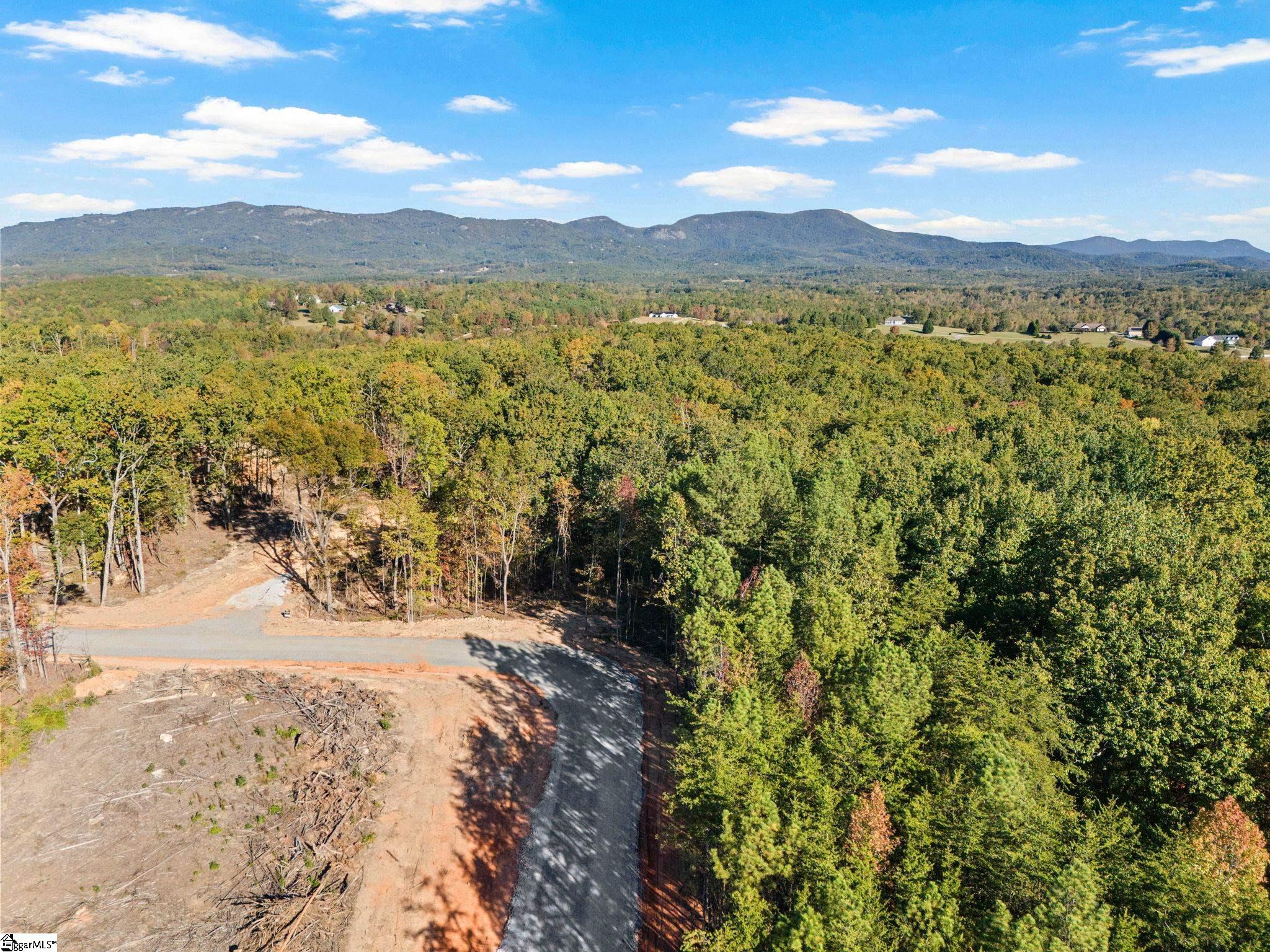 1944 Pleasant Hill Road Greer, SC 29651 - Photo 6 of 10