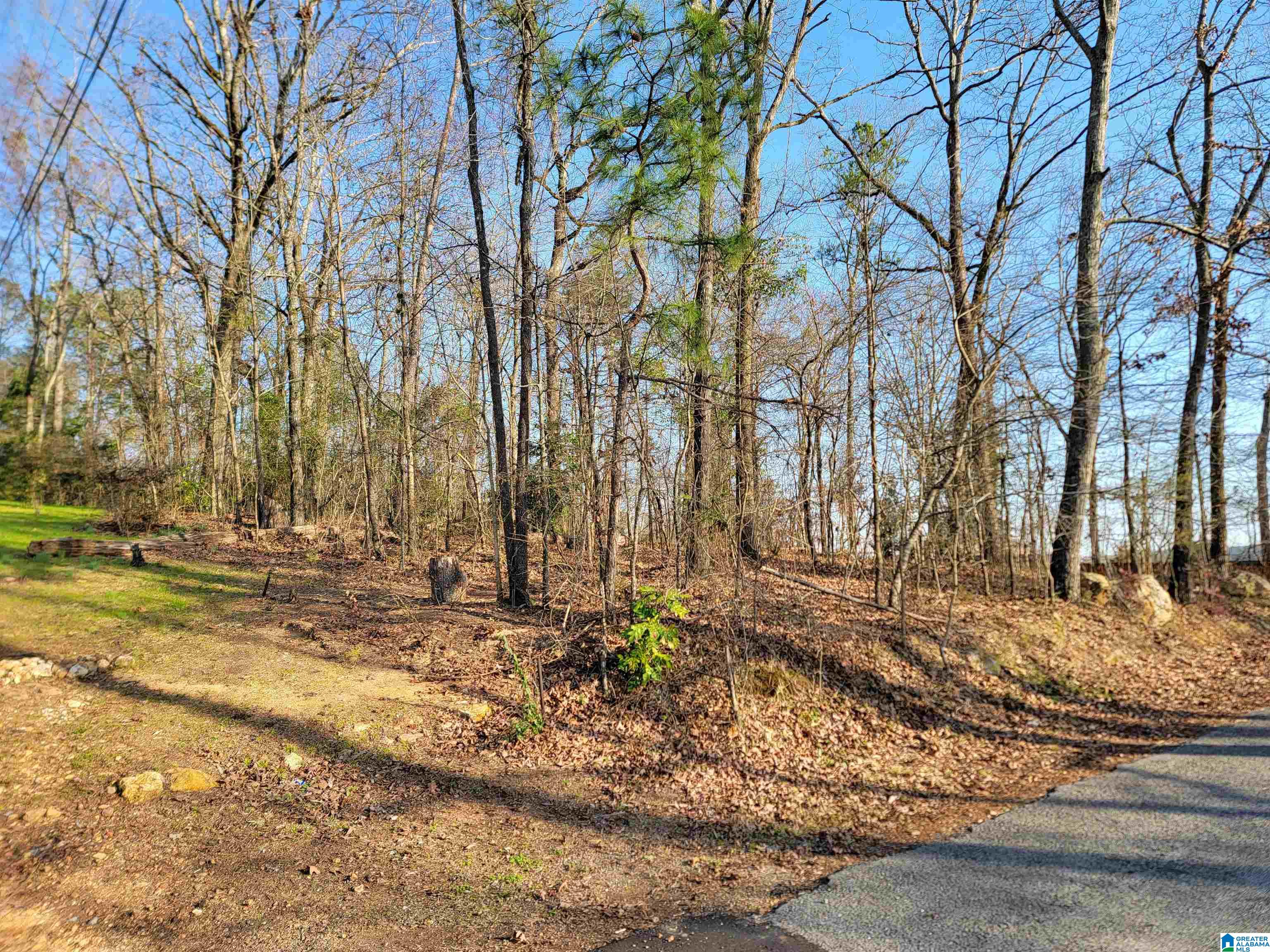 0 Clearwater Point Road, Unit 5 Cropwell, AL 35054 - Photo 1 of 15