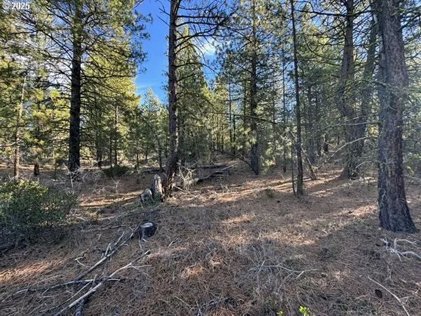 $7,900 | Golden Eagle Drive, Unit 31, Bonanza, OR 97623