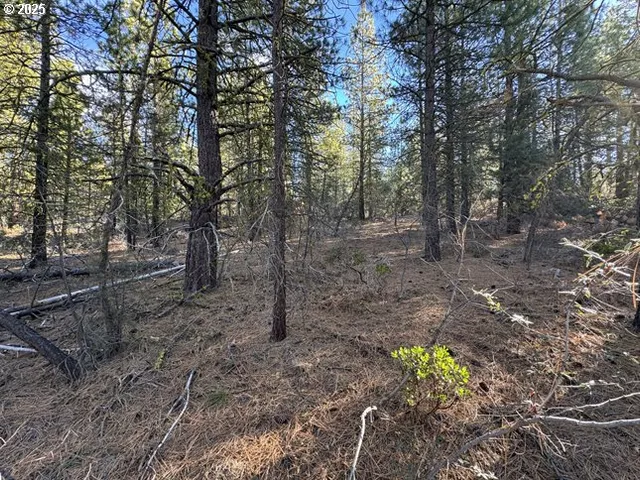 $7,900 | Golden Eagle Drive, Unit 31, Bonanza, OR 97623