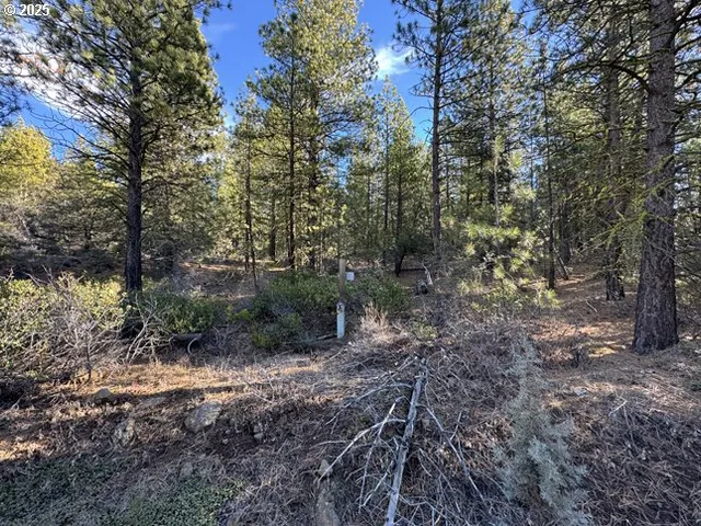 $7,900 | Golden Eagle Drive, Unit 31, Bonanza, OR 97623