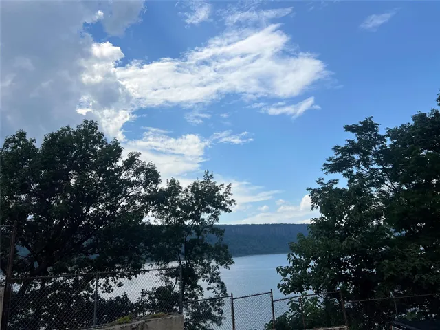 a view of a lake with a tree in the background