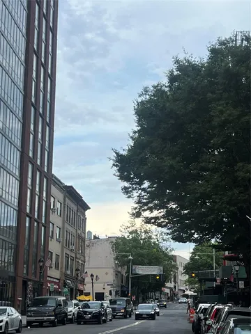 a front view of a house with a garden and trees