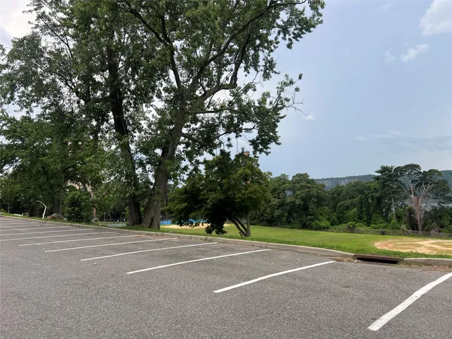 a view of a bench in the garden