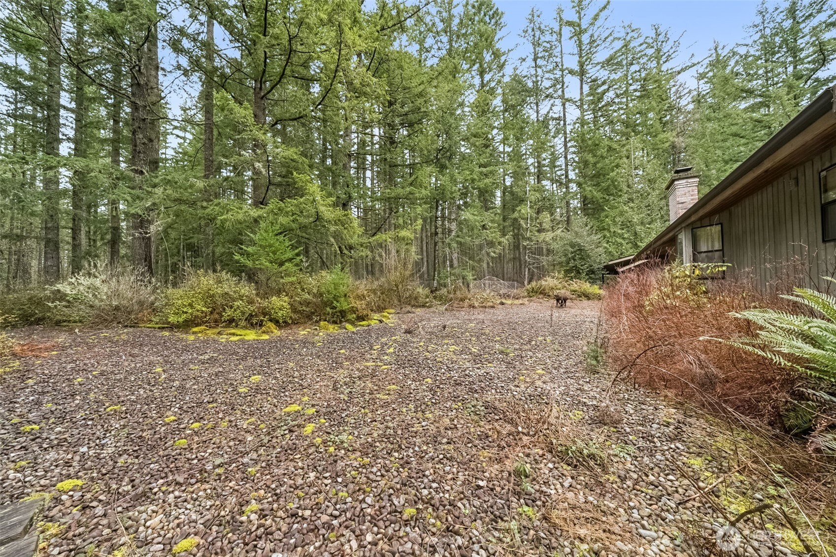 29722 Southeast Kent Kangley Road Ravensdale, WA 98051 - Photo 13 of 28 a view of a yard with large trees