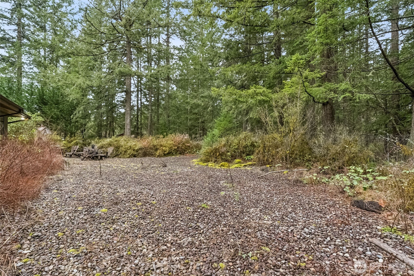 29722 Southeast Kent Kangley Road Ravensdale, WA 98051 - Photo 16 of 28 a view of a yard with a tree