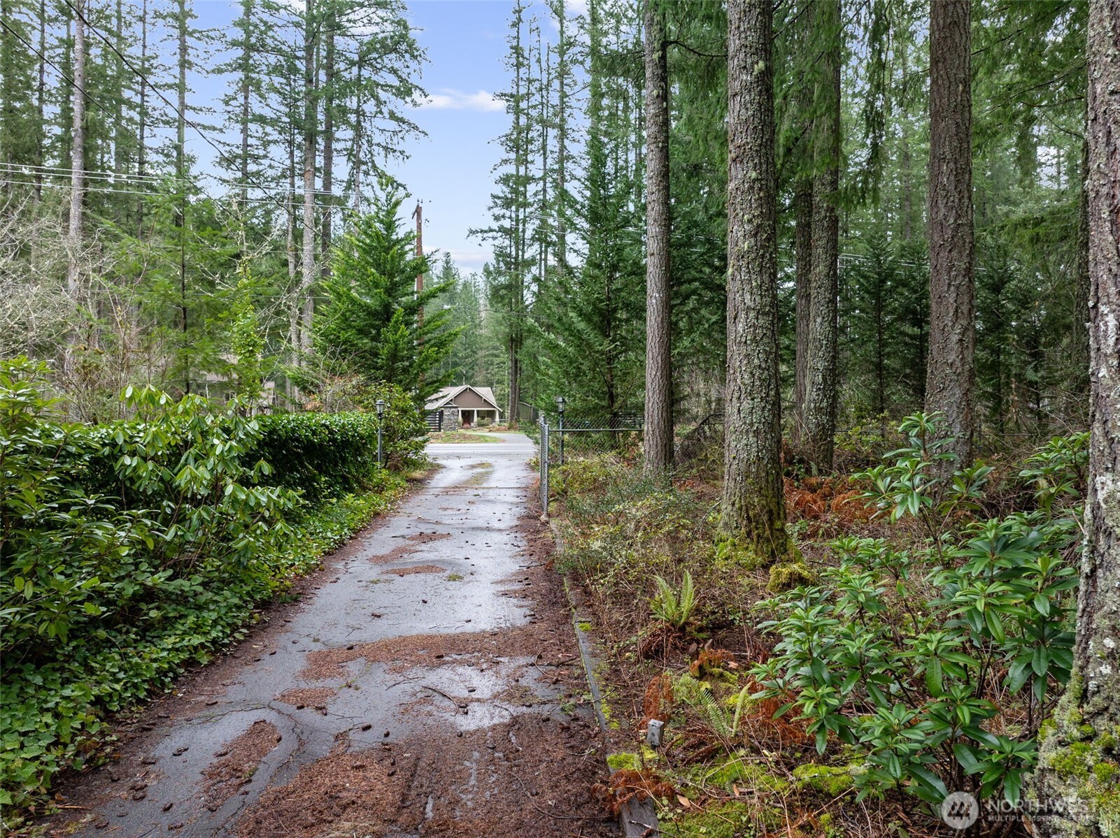 29722 Southeast Kent Kangley Road Ravensdale, WA 98051 - Photo 3 of 28 a view of a pathway both side of yard