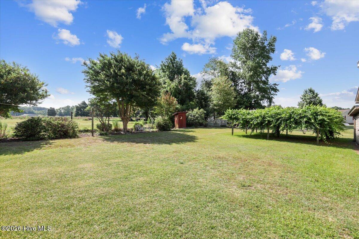 2029 Highway 403 Faison, NC 28341 - Photo 9 of 58