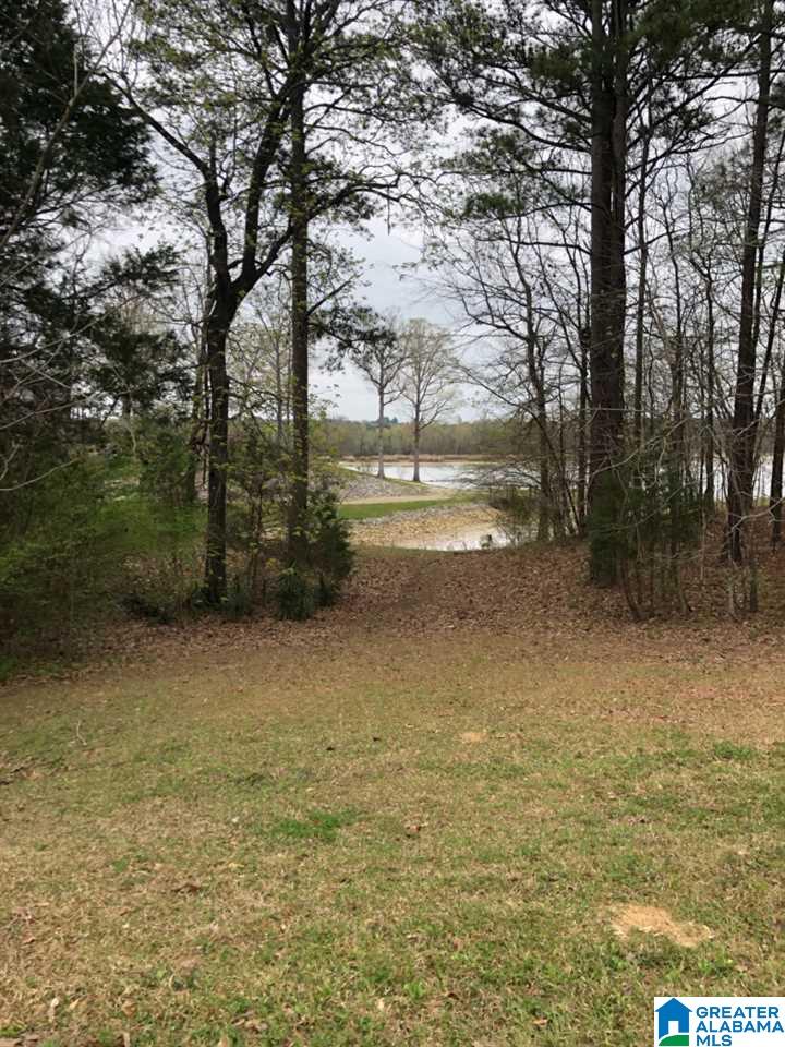 3982 River Ranch Road Ragland, AL 35131 - Photo 9 of 14