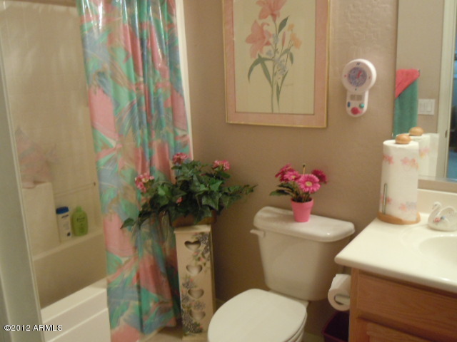 11513 East Raleigh Avenue Mesa, AZ 85212 - Photo 17 of 51 DOWNSTAIRS BATH