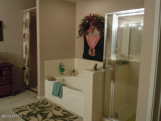 11513 East Raleigh Avenue Mesa, AZ 85212 - Photo 30 of 51 MASTER BATH