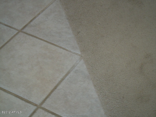 11513 East Raleigh Avenue Mesa, AZ 85212 - Photo 51 of 51 TILE & CARPET