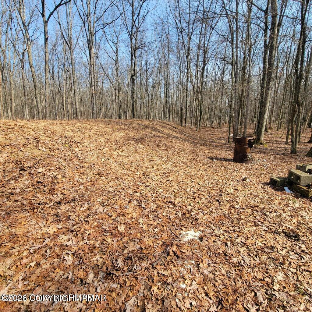 479 Jonas Road Effort, PA 18330 - Photo 7 of 8 20260613194552716555000000-o
