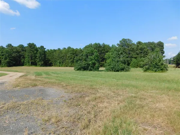 a view of a field with an trees in the background