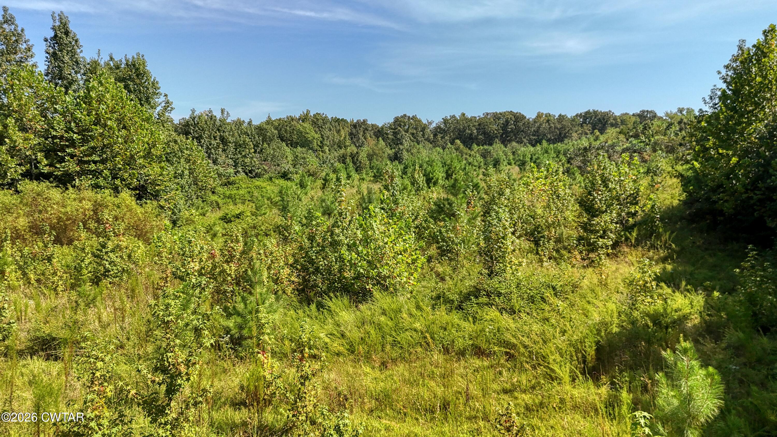 4349 Buena Vista Road Huntingdon, TN 38344 - Photo 46 of 68 DJI_20260825105457_0185_D
