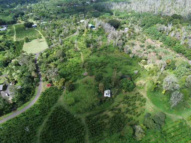 a view of a house with a lush green forest