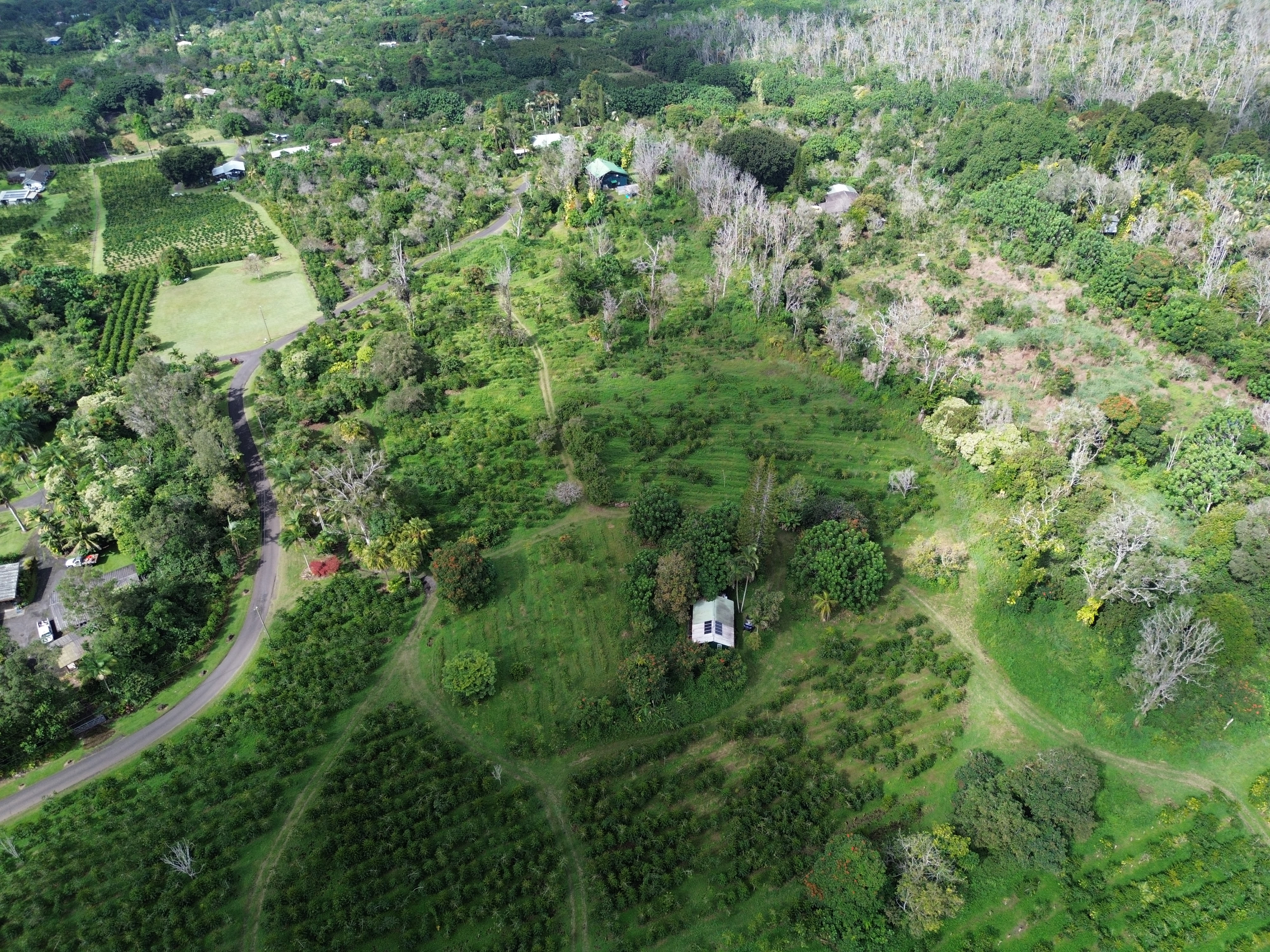 78-1275 Bishop Road Holualoa, HI 96725 - Photo 3 of 16 a view of a house with a lush green forest