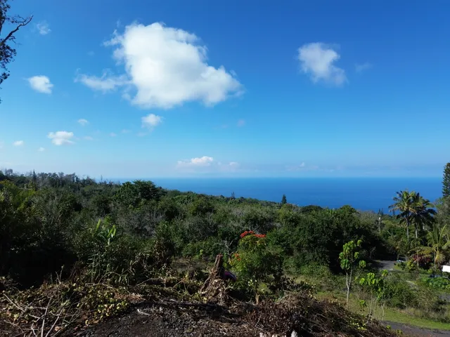 a view of a city with lots of green space