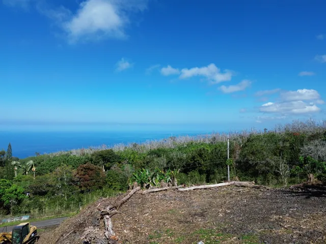 a view of a field with an ocean