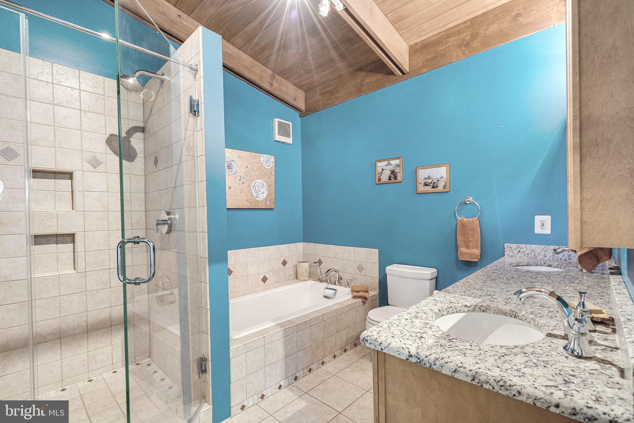 2925 Pine Spring Road Falls Church, VA 22042 - Photo 32 of 67 Owner's Bath